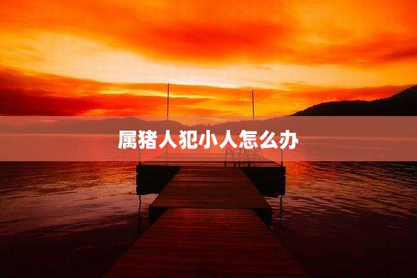 属猪人犯小人怎么办