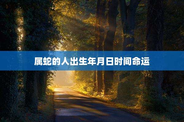 属蛇的人出生年月日时间命运