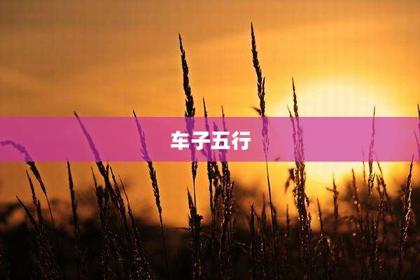 车子五行