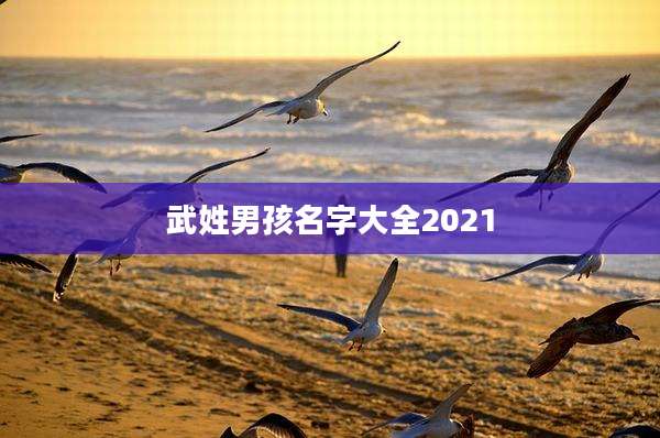 武姓男孩名字大全2021