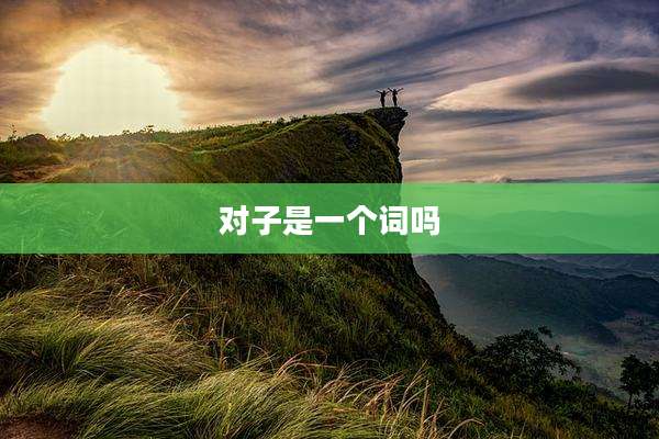对子是一个词吗
