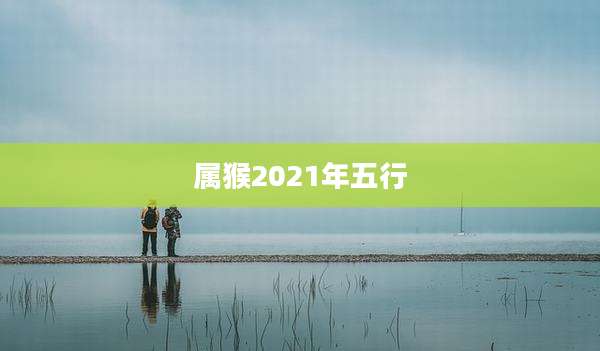 属猴2021年五行