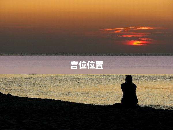 宫位位置