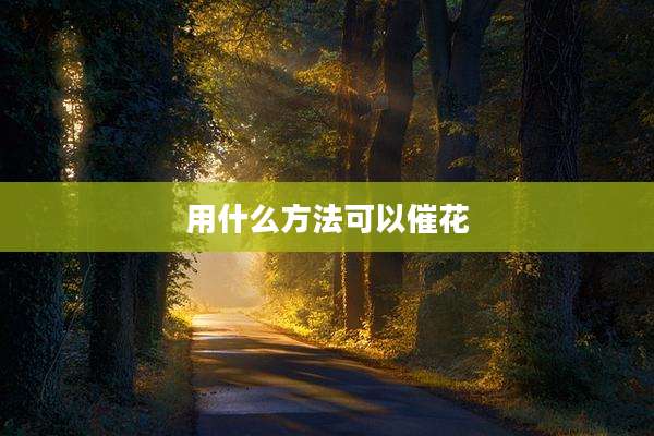 用什么方法可以催花