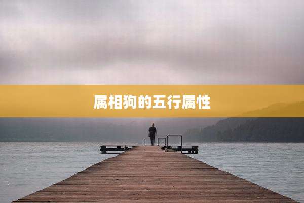 属相狗的五行属性