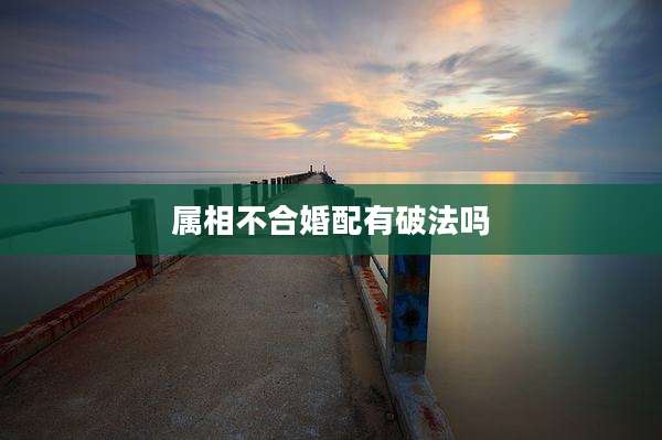 属相不合婚配有破法吗