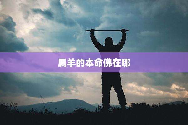 属羊的本命佛在哪