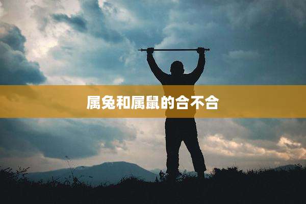 属兔和属鼠的合不合