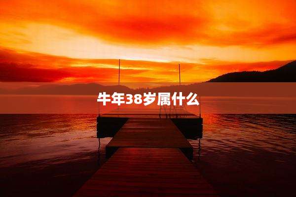 牛年38岁属什么