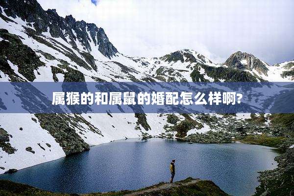 属猴的和属鼠的婚配怎么样啊?