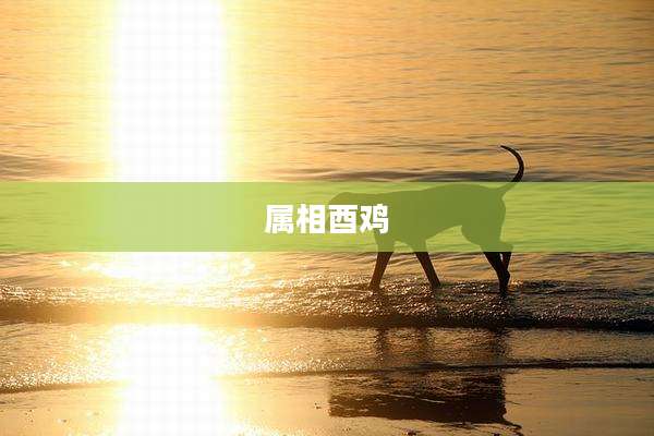 属相酉鸡