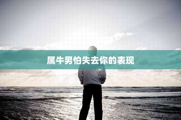 属牛男怕失去你的表现