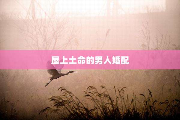 屋上土命的男人婚配