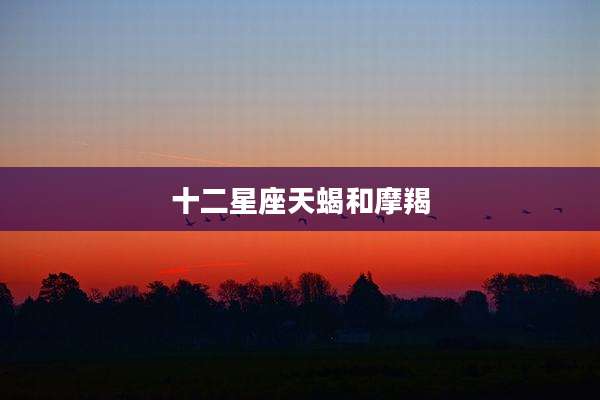 十二星座天蝎和摩羯