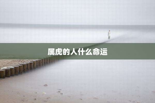 属虎的人什么命运