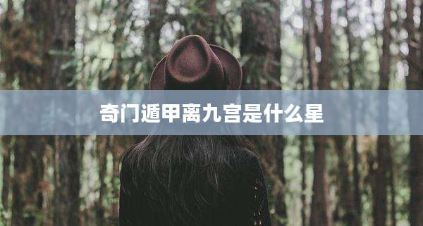 奇门遁甲离九宫是什么星