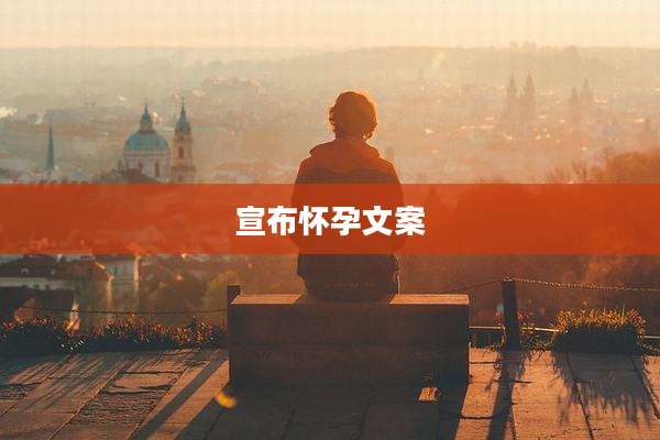 宣布怀孕文案