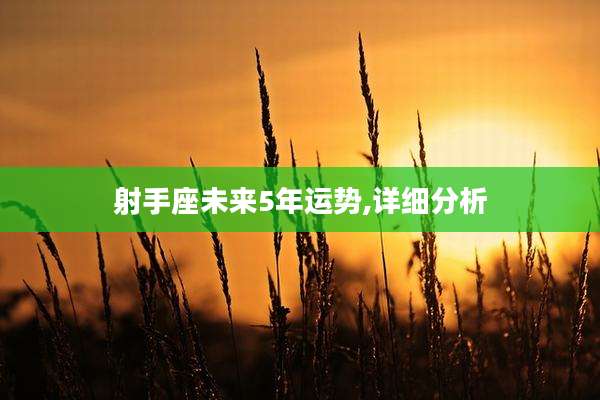 射手座未来5年运势,详细分析