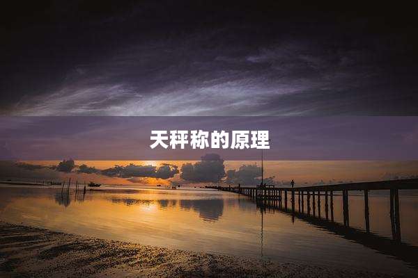 天秤称的原理