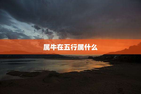 属牛在五行属什么