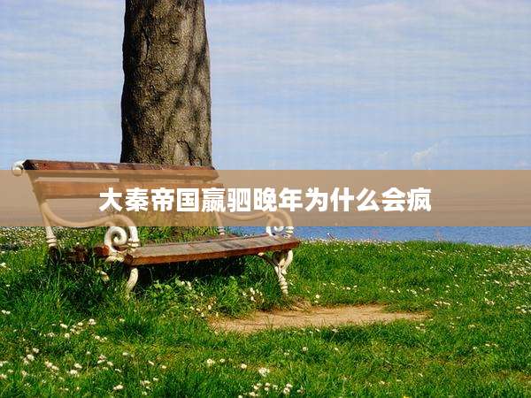 大秦帝国嬴驷晚年为什么会疯