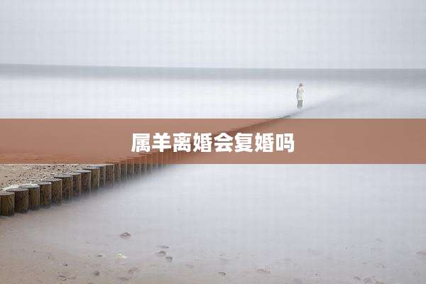 属羊离婚会复婚吗