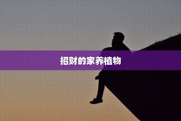 招财的家养植物