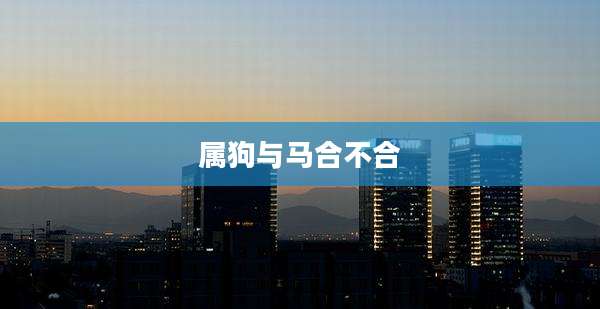 属狗与马合不合