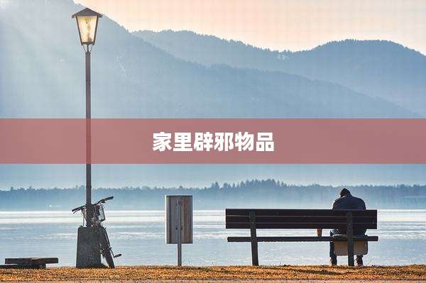 家里辟邪物品