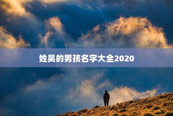 姓吴的男孩名字大全2020