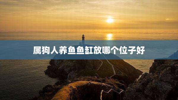 属狗人养鱼鱼缸放哪个位子好