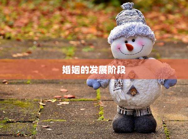 婚姻的发展阶段