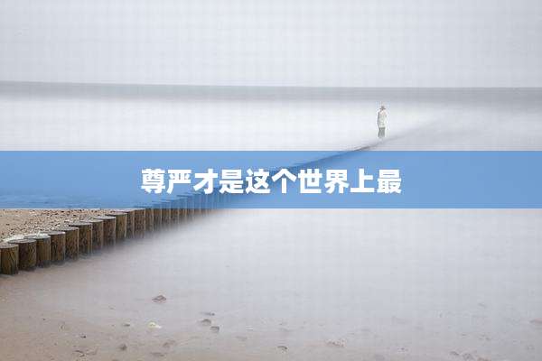尊严才是这个世界上最