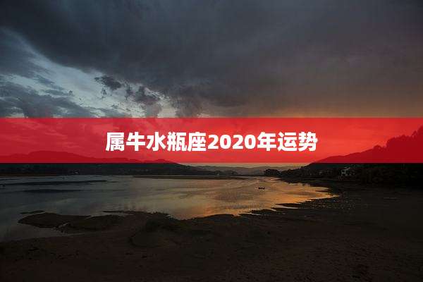 属牛水瓶座2020年运势