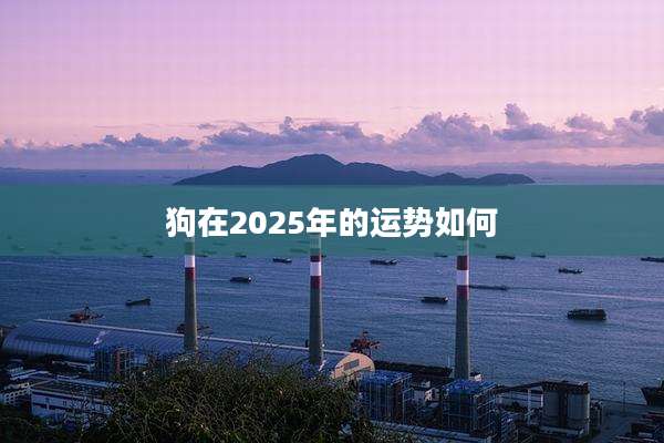 狗在2025年的运势如何