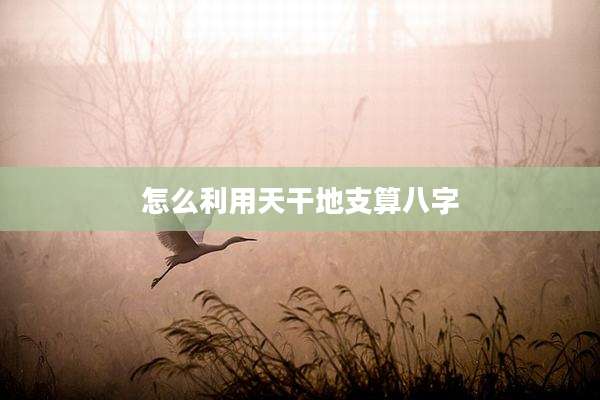 怎么利用天干地支算八字