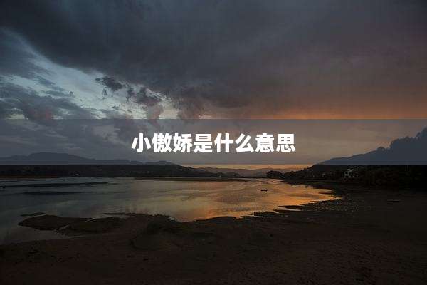 小傲娇是什么意思