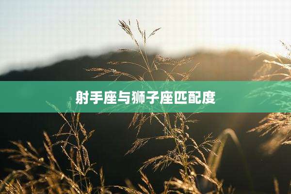 射手座与狮子座匹配度