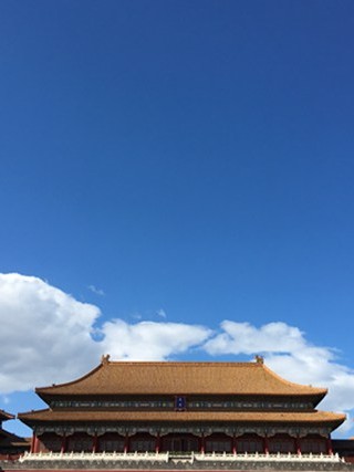 临时车牌违规 临时车牌违规停车？